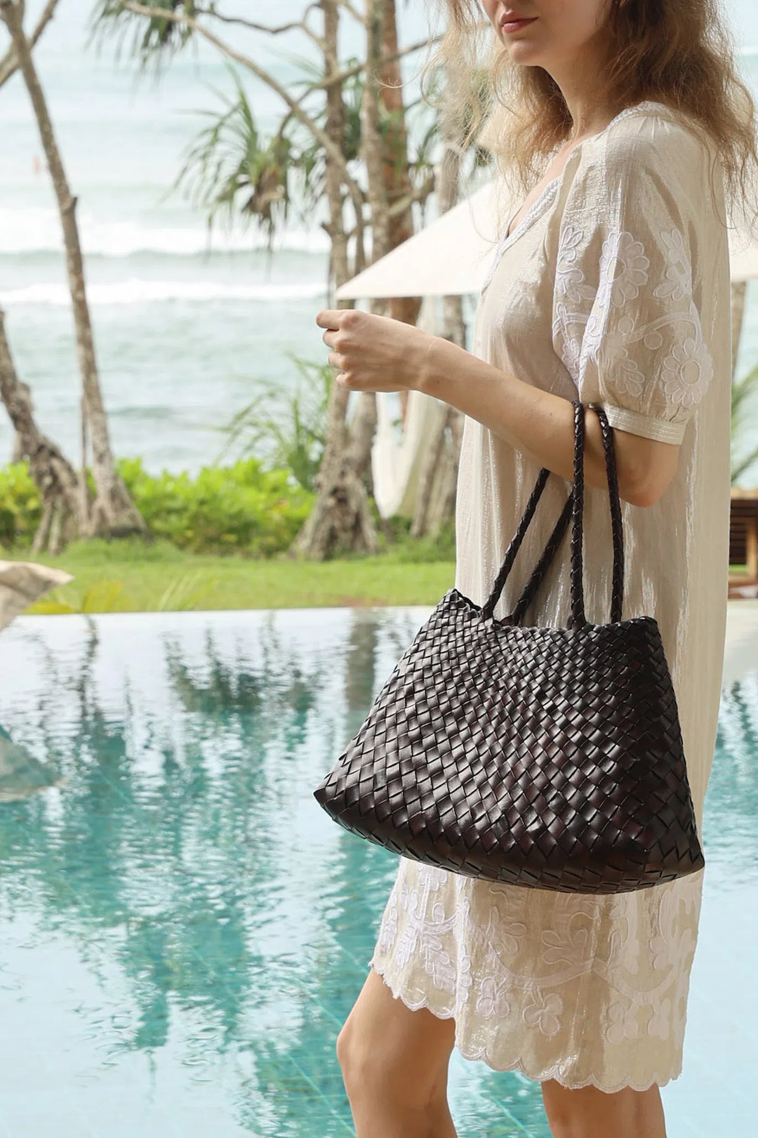 ドラゴンディフュージョン - サンタクローチェビッグダークブラウン