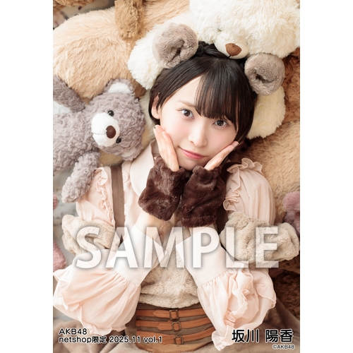 AKB48 2025年11月度 net shop限定個別生写真5枚セットvol.1 | AKB48