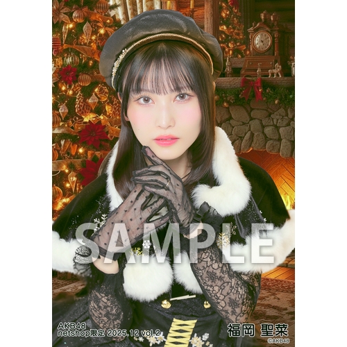 AKB48 2025年12月度 net shop限定個別生写真5枚セットvol.2 | AKB48