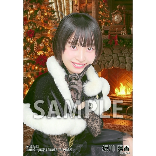 AKB48 2025年12月度 net shop限定個別生写真5枚セットvol.2 | AKB48