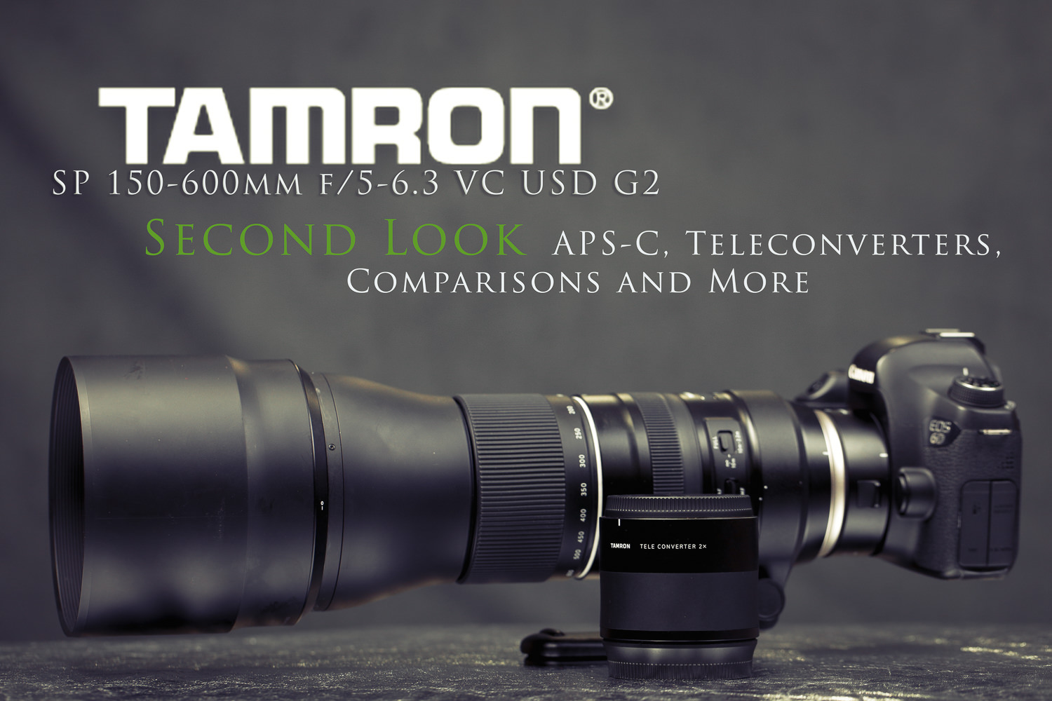 Tamron 150-600mm G2 Second Look | APS-C, TCs, and More