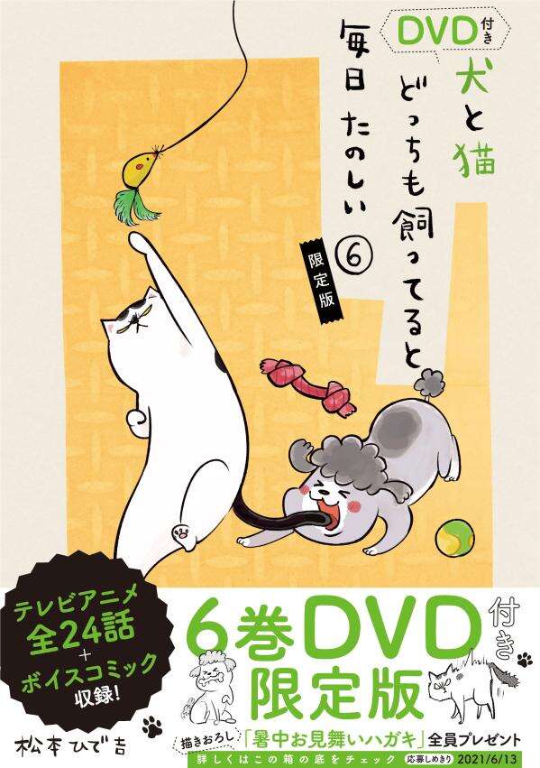 DVD付き 犬と猫どっちも飼ってると毎日たのしい（6）限定版