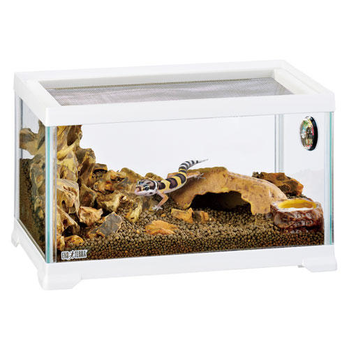 よろずやマルシェ本店 | ジェックス レオパ飼育キット S 2個セット