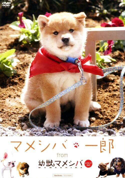 ゲオ公式通販サイト/ゲオオンラインストア【中古】マメシバ・一郎 from