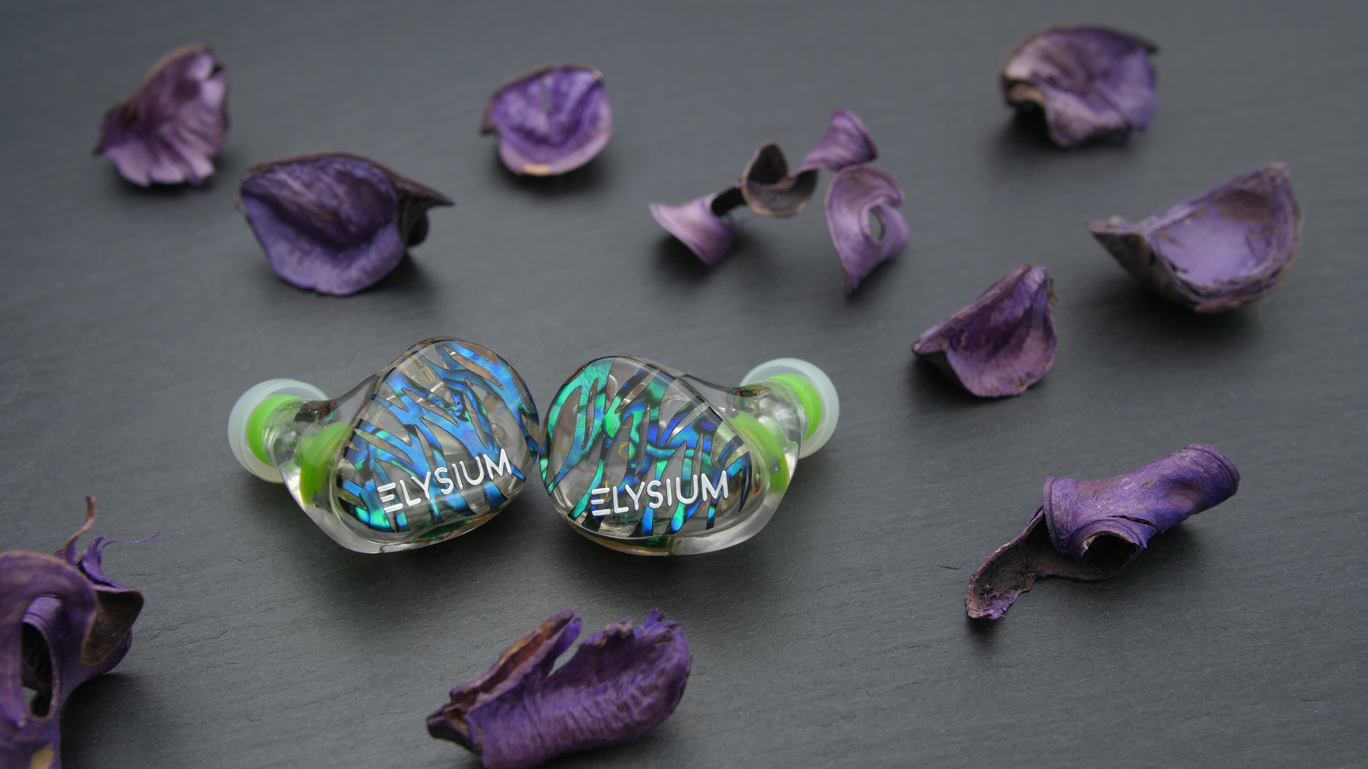 Vision Ears Elysium • Ear Fidelity