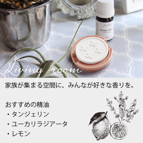 アロマストーンセット トレー付 MONO series グラフィック精油5ml2本