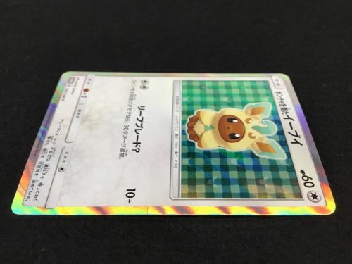 ポンチョを着たイーブイ リーフィアのポンチョイラスト版 PROMO A 142