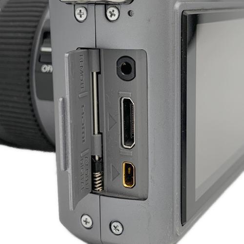 Panasonic (パナソニック) LUMIX GF1 LUMIX G LENS KIT DMC-GF1