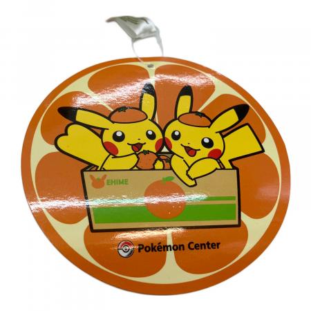 Pokemon Center (ポケモンセンター) ヌイグルミ タグ有 ペアピカチュウ
