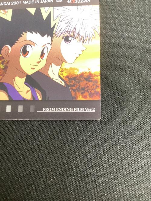 HUNTER×HUNTER (ハンター×ハンター) ゴン キルア センリツ クロロ