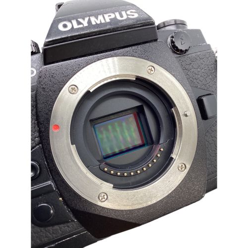 OLYMPUS (オリンパス) 一眼レフカメラ OM-D E-M1 -｜トレファクONLINE