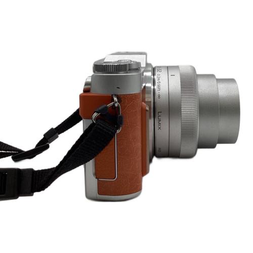 Panasonic (パナソニック) デジタル一眼カメラ DC-GF10 ボディ