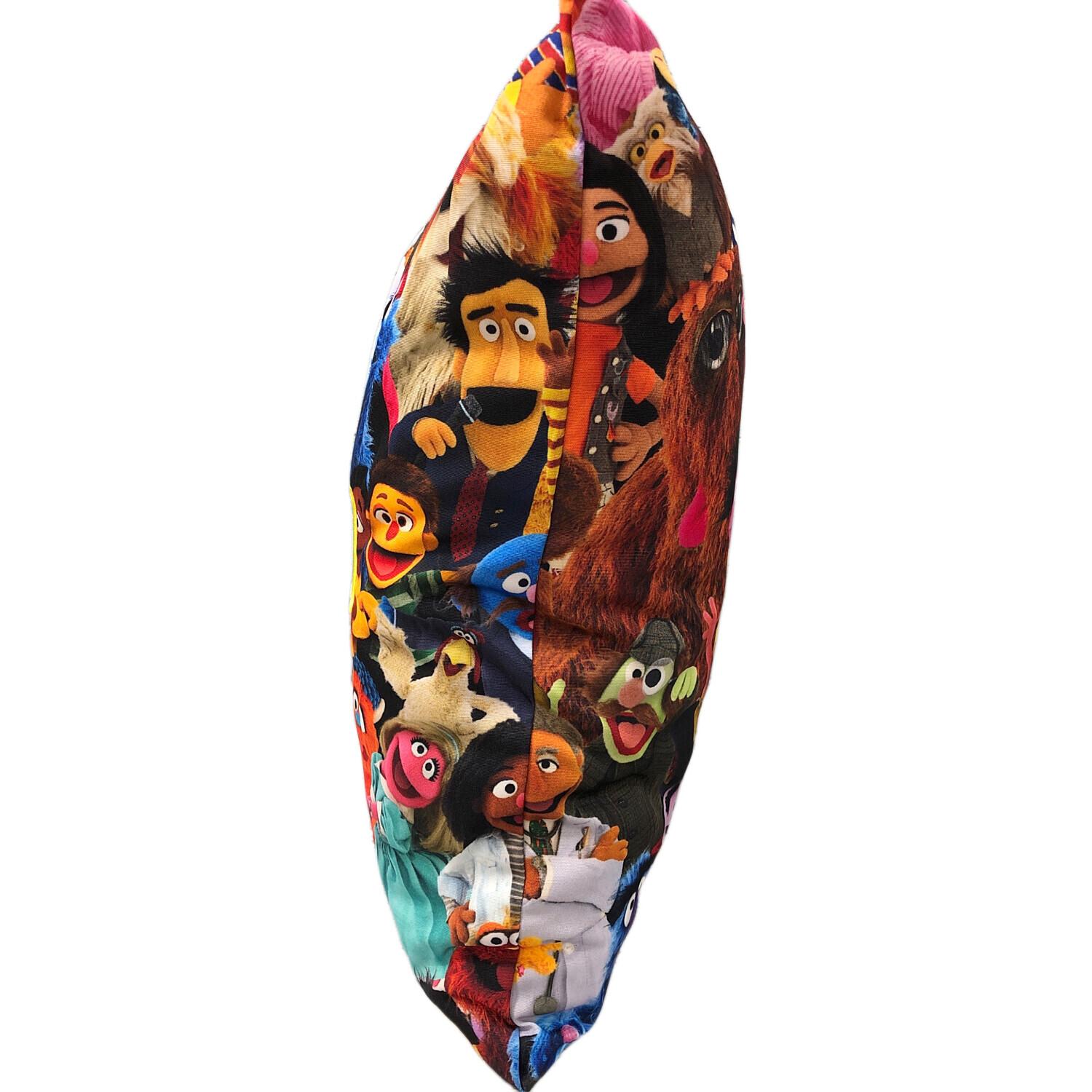 SESAME STREET（セサミストリート）x KITH (キス) PILLOW クッション