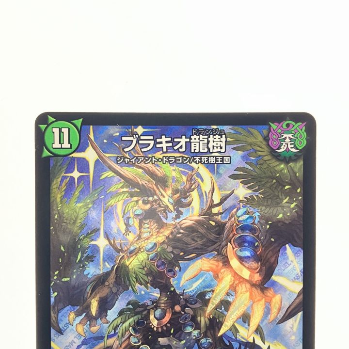 ブラキオ龍樹 2枚 初期 ブラキオ龍樹2枚セット ブラキオ龍樹 二枚