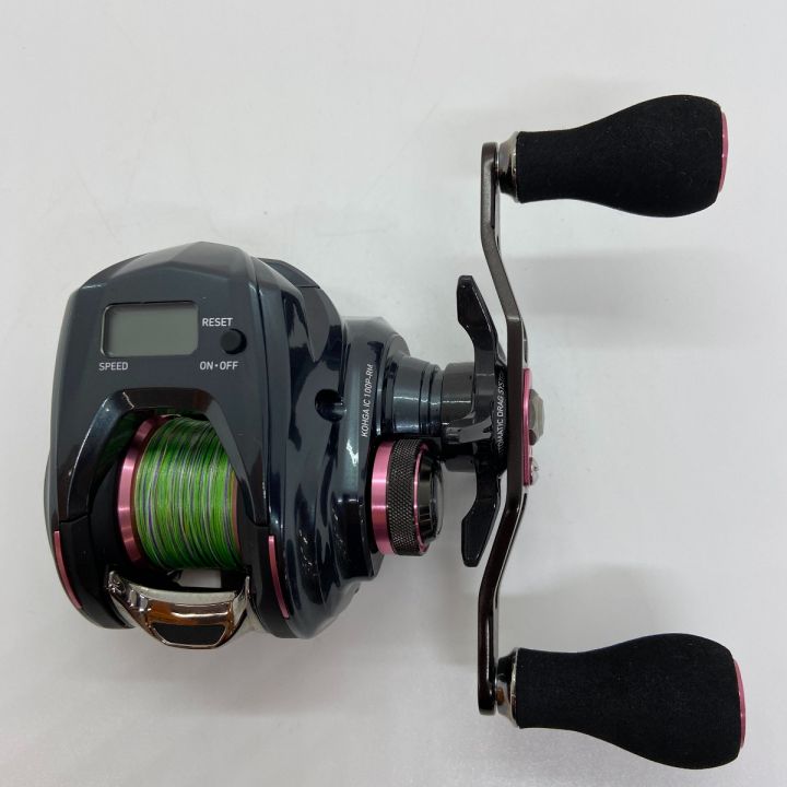 ΨΨ DAIWA ダイワ 両軸リール 紅牙 IC 100P-RM 本体のみ 630000 - 中古