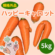 happy_karotte_s.jpg