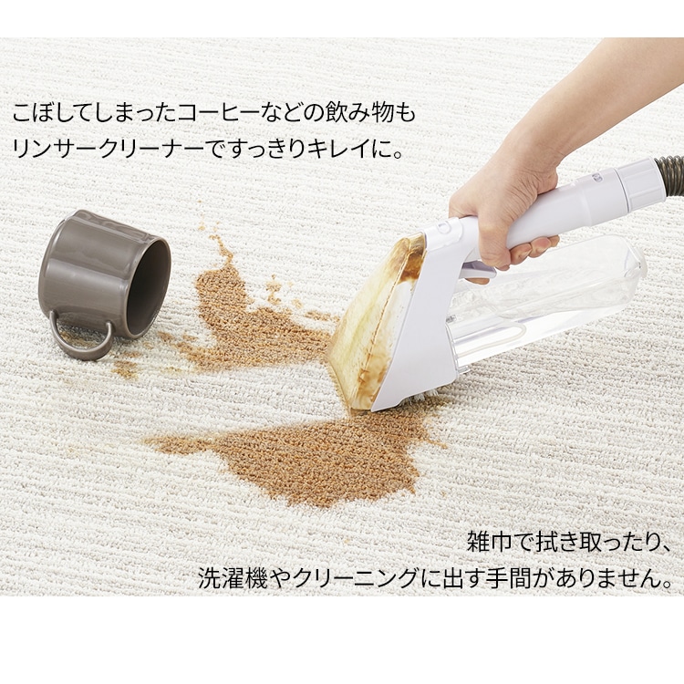 専用洗浄液付き]リンサークリーナー RNS-300