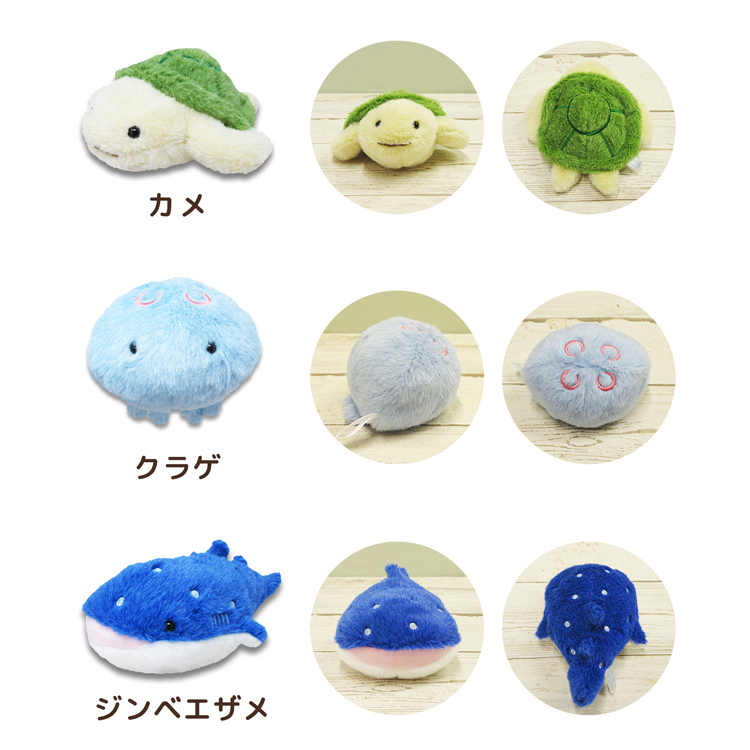 mic21ダイビングショップ[ 内藤デザイン研究所 ] 海中散歩 ぽちゃまる