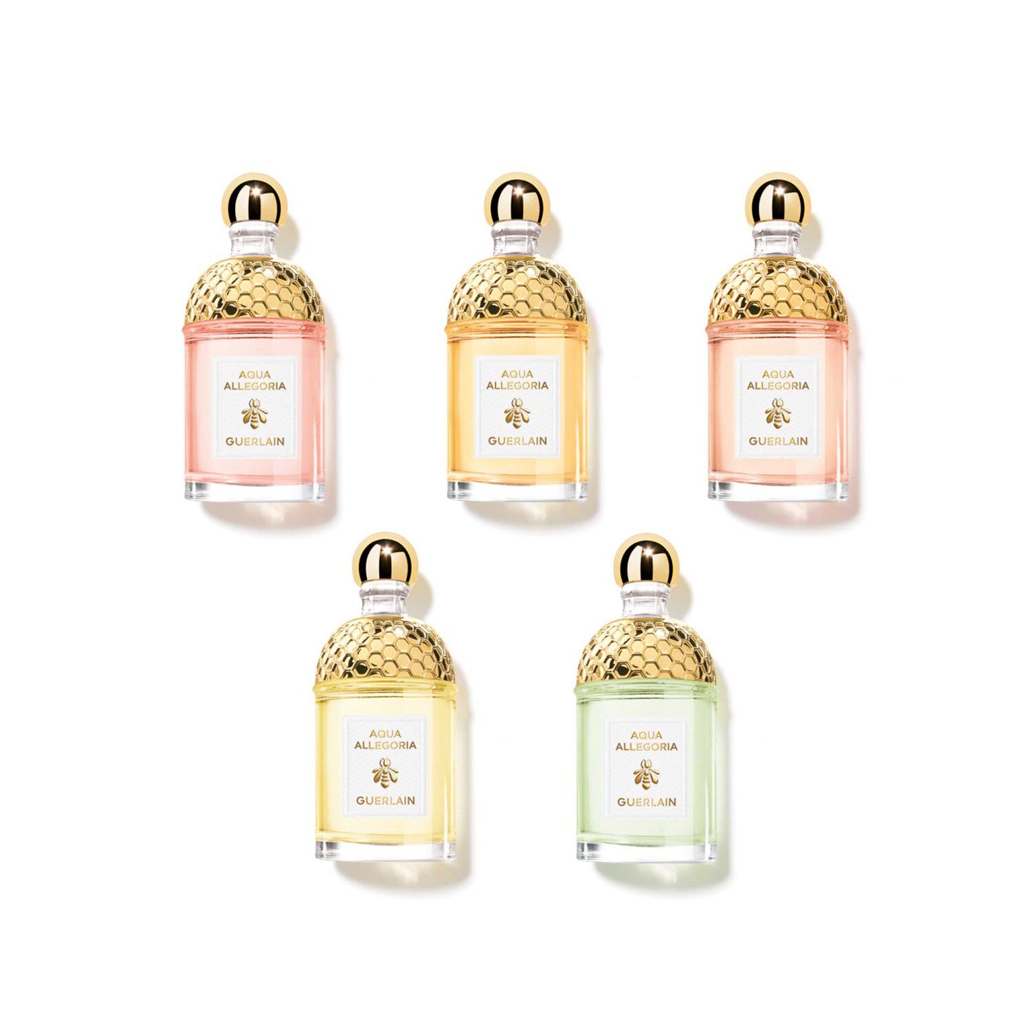 アクアア レゴリア ミニチュアセット