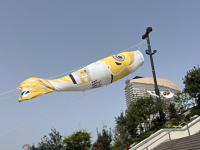 4/12～5/8】「鯉のぼりの道 よんももち」が登場！｜BOSS E・ZO FUKUOKA