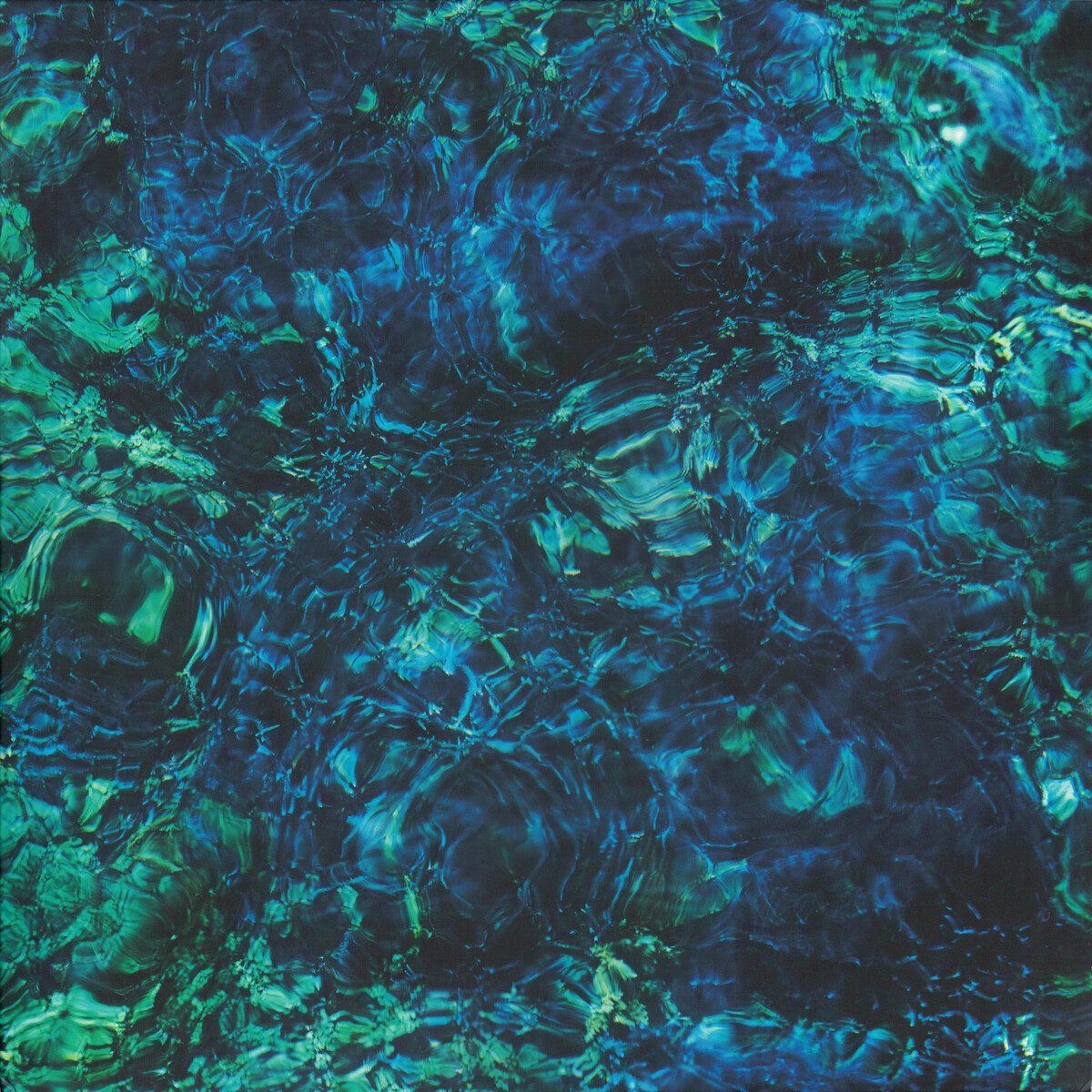 Luminescent Creatures by 青葉市子 [Ichiko Aoba] (Album; hermine