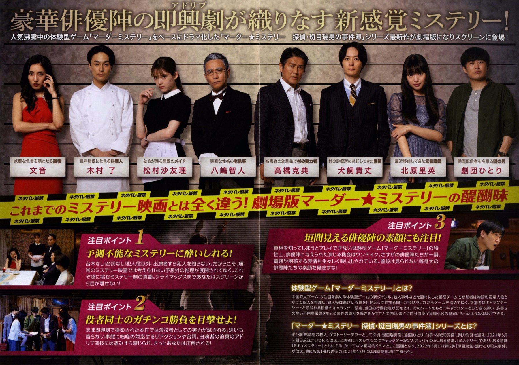 映画チラシサイト：劇場版 マーダー☆ミステリー 探偵・斑目瑞男の事件