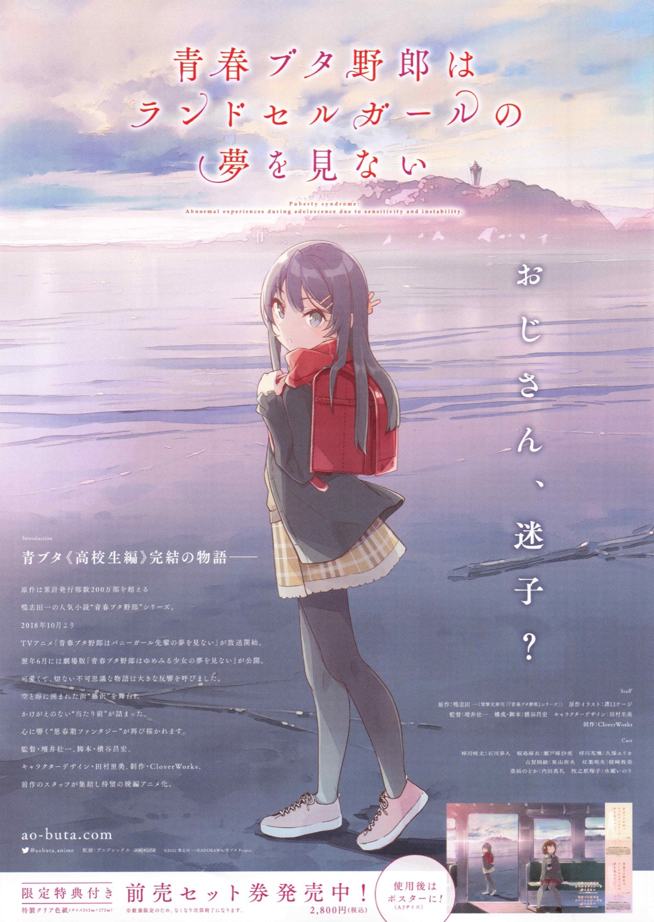 映画チラシサイト：青春ブタ野郎はおでかけシスターの夢を見ない／青春