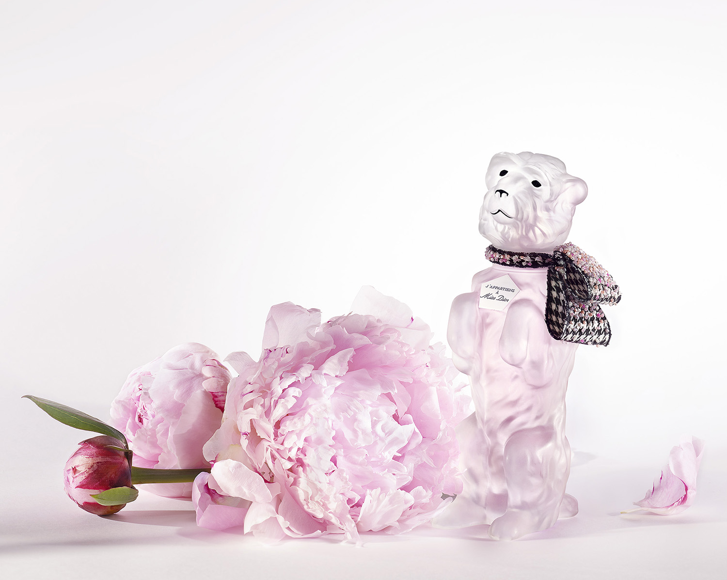 ディオール犬の“ボビー”モチーフの限定フレグランス「ミス ディオール