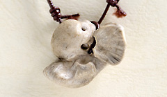 イルカの耳骨｜南房総いいもの屋