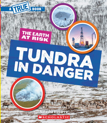 A True Book: The Earth at Risk Value Pack | The Scholastic Parent