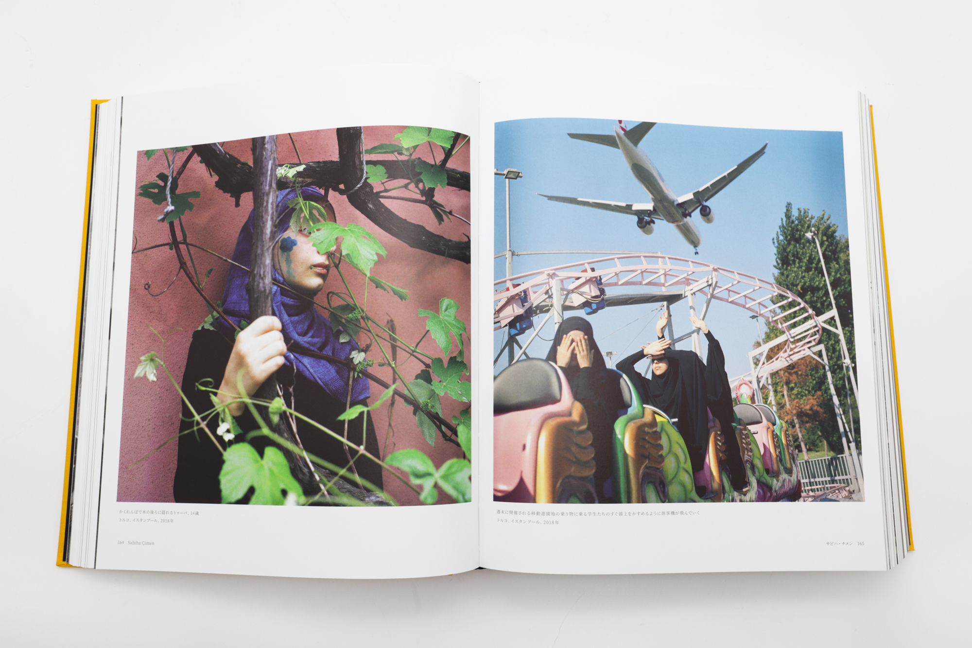 Magnum Magnum: Updated and Expanded Edition (Japanese edition