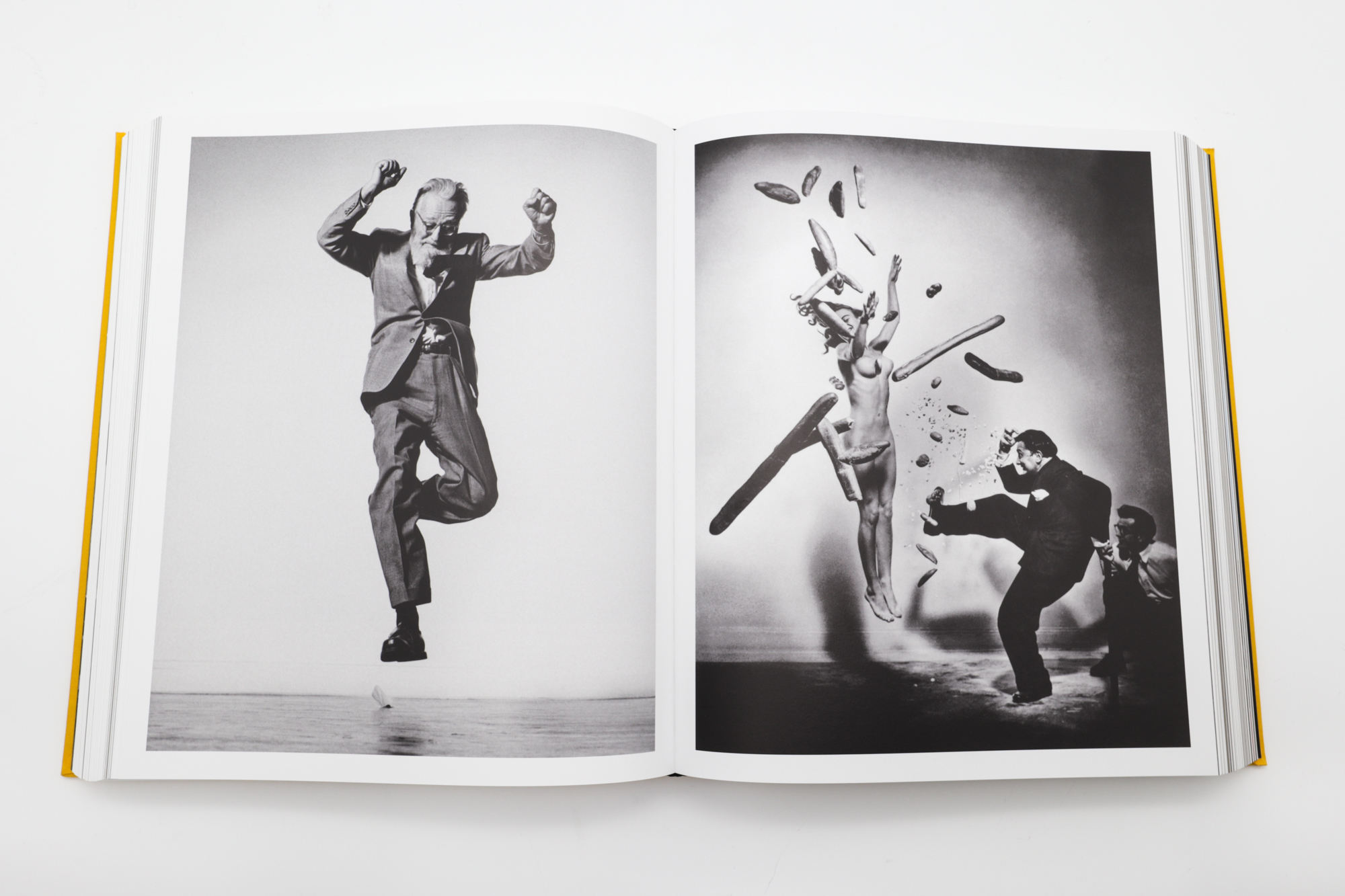 Magnum Magnum: Updated and Expanded Edition (Japanese edition