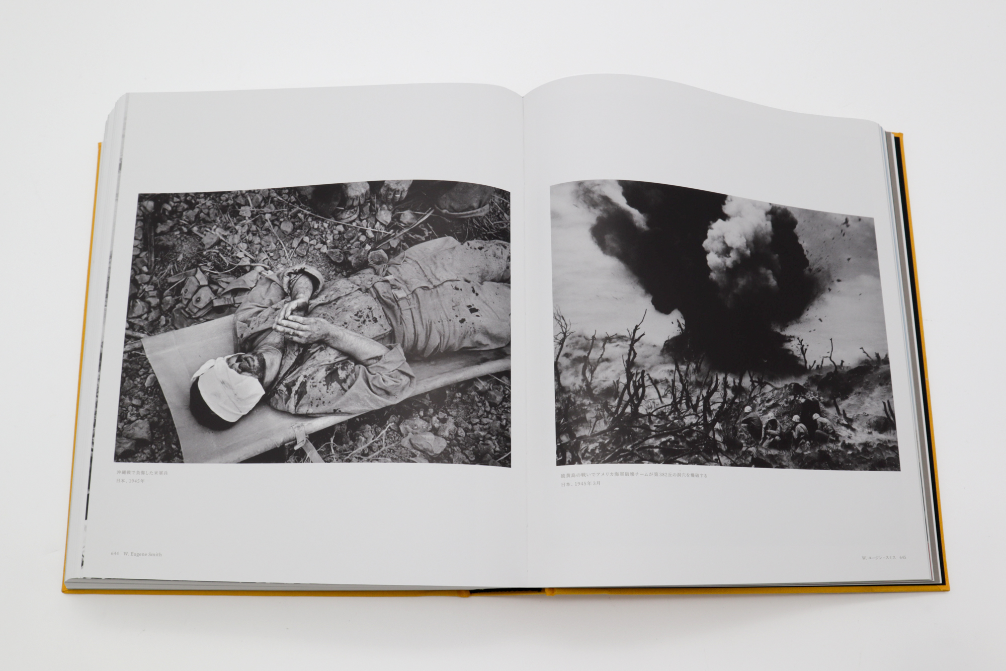 Magnum Magnum: Updated and Expanded Edition (Japanese edition