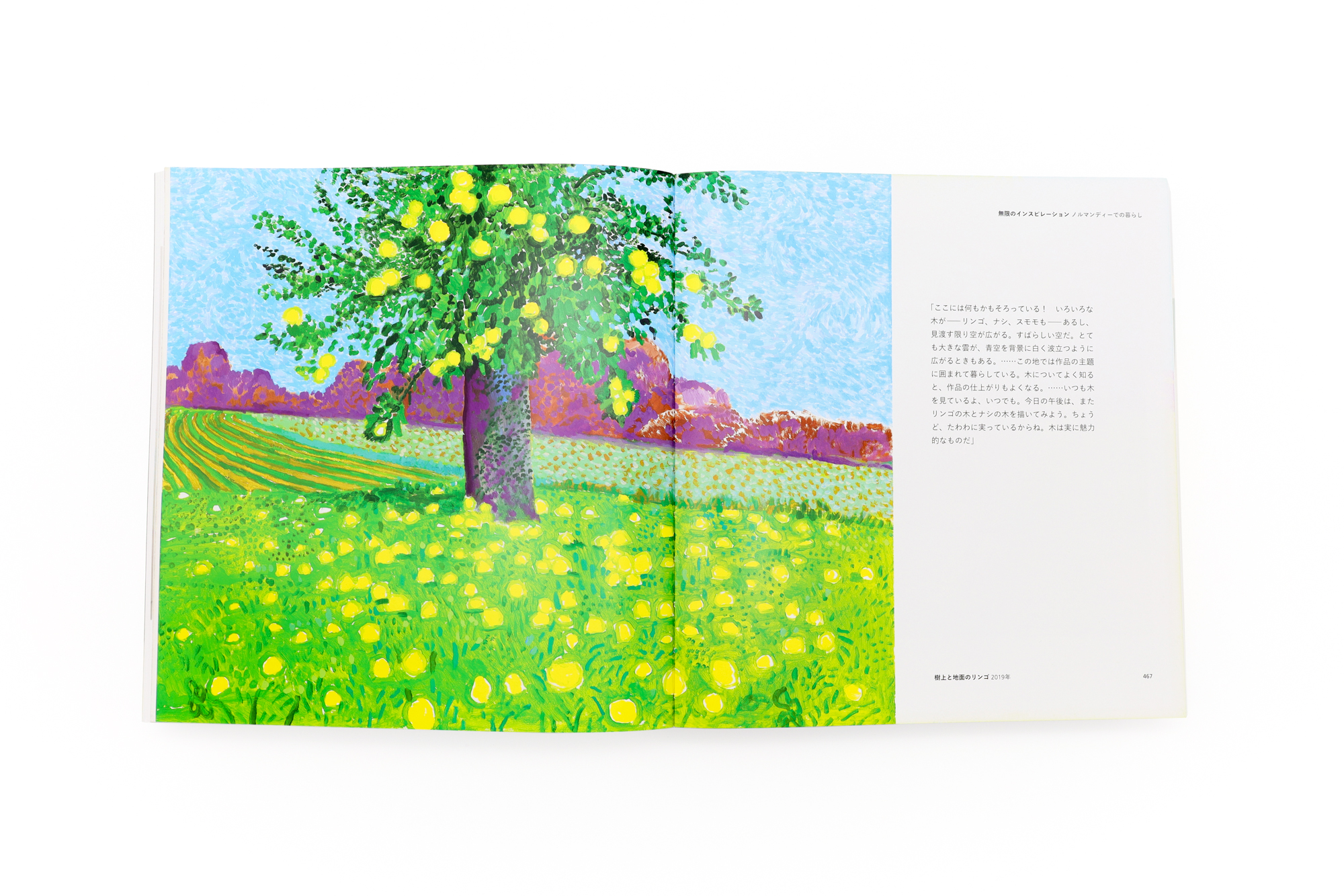 Hockney's Pictures (Japanese edition) | 青幻舎 SEIGENSHA Art
