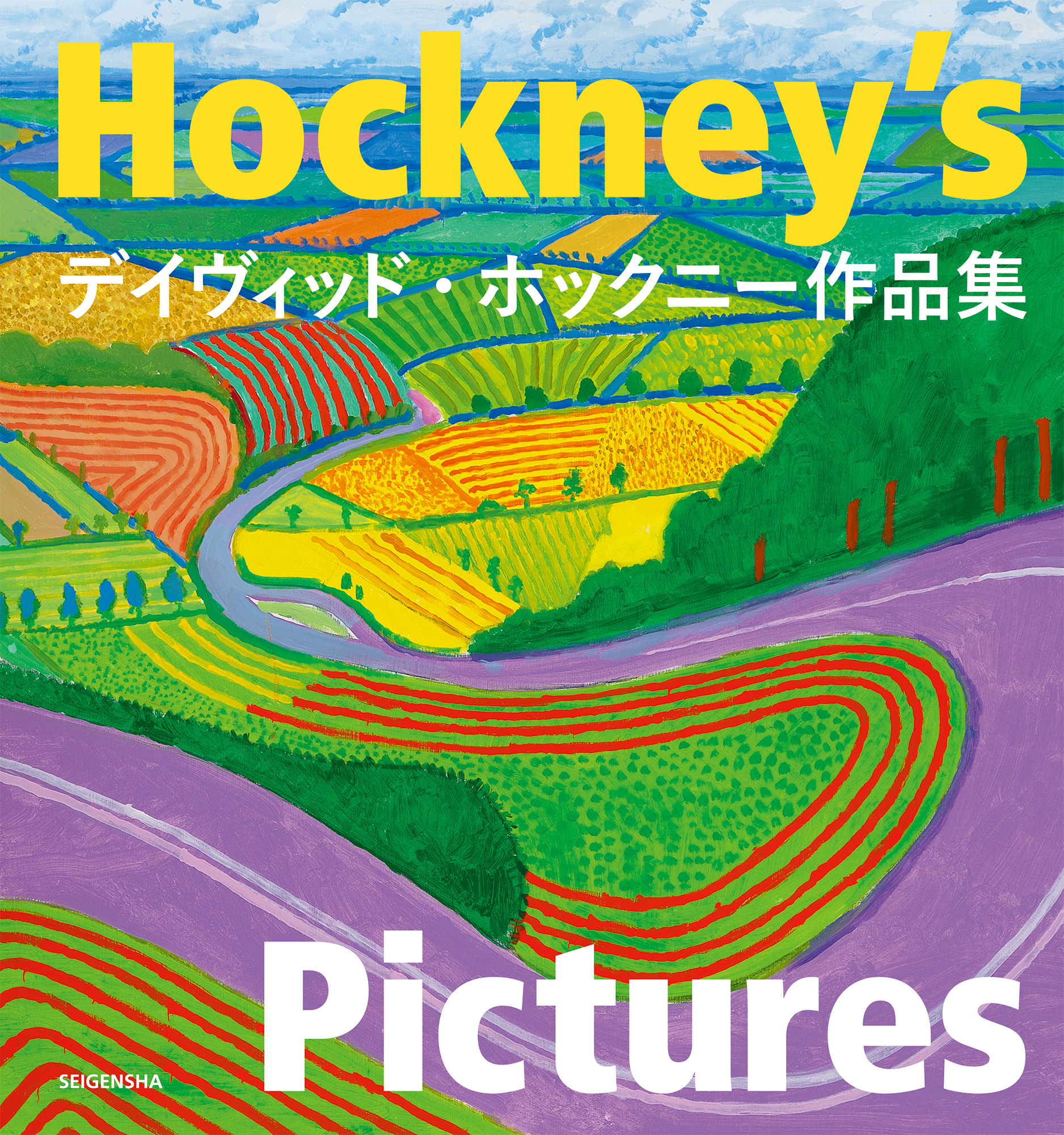 Hockney's Pictures (Japanese edition) | 青幻舎 SEIGENSHA Art