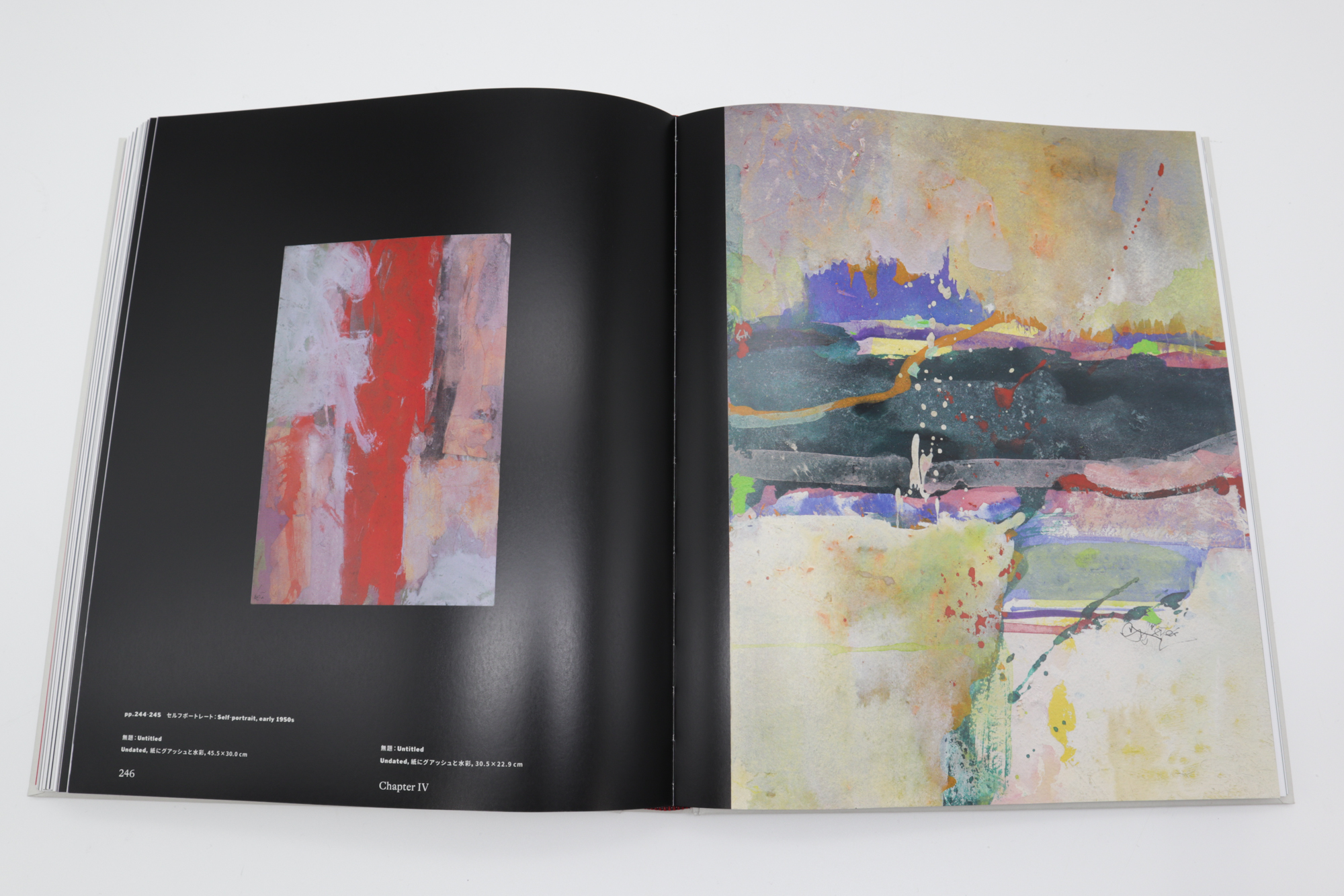 Saul Leiter: The Centennial Retrospective (Japanese edition) | 青