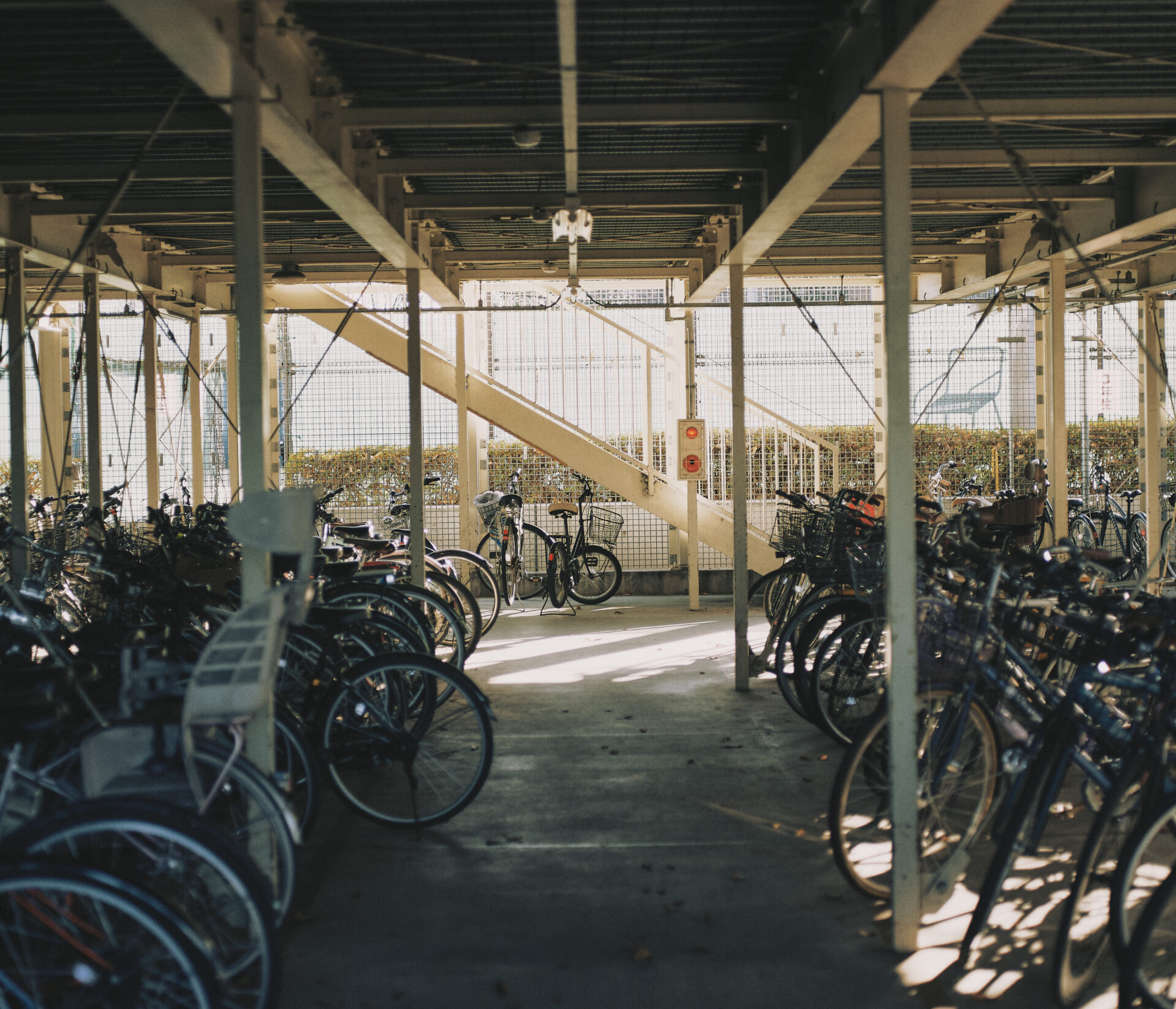 作例レビュー】PENTAX A645 75mm F2.8 ペンタックスのレンズ #わたしの