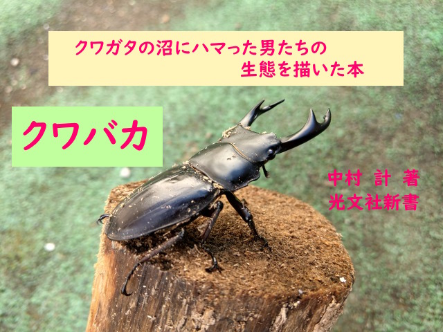 クワガタの沼にハマった男たちの生態を描いた本『クワバカ』
