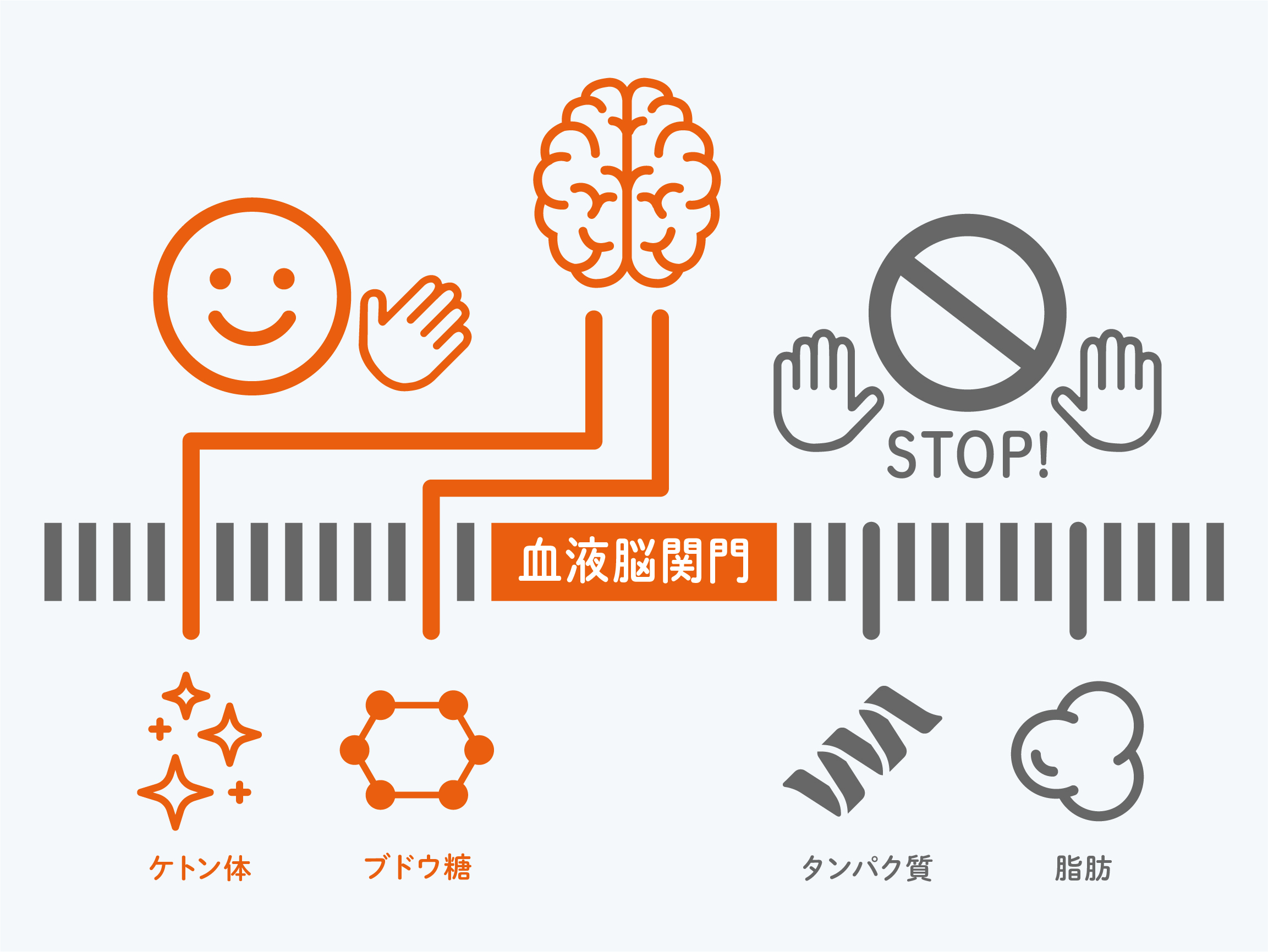 KETO SHOT PRO（ケト・ショット プロ）1箱10包x3箱|mdストア