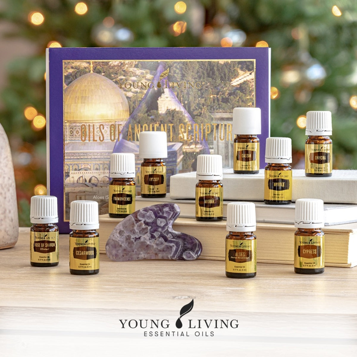 Young Living Oils of Ancient Scripture Collection – Essential Oil Life