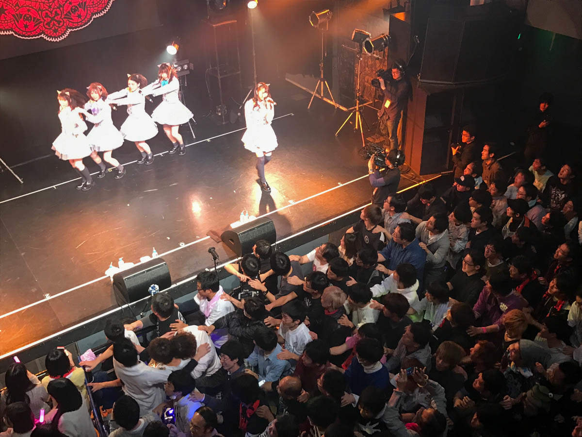 約束だからの深イイ話。わーすた「完全なるライブハウスツアー2016