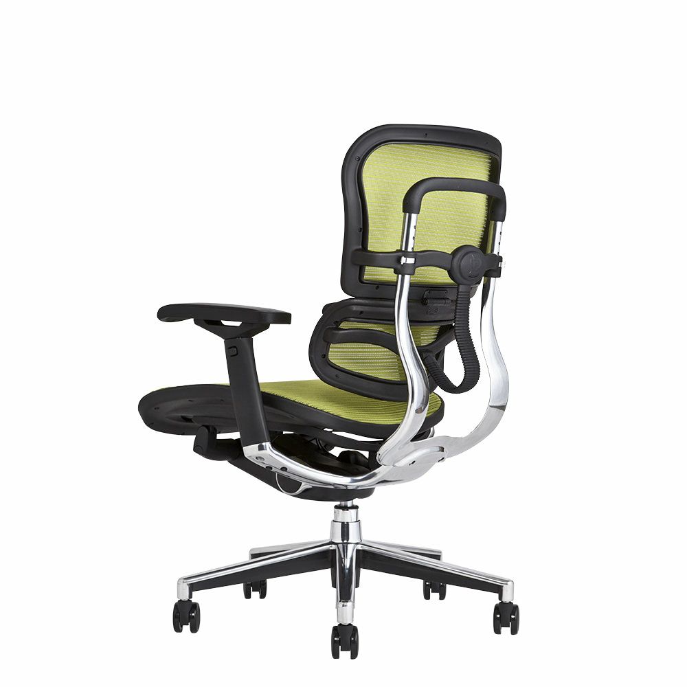 エルゴヒューマン ベーシック / ヘッドレスト無し【メーカー組み立て