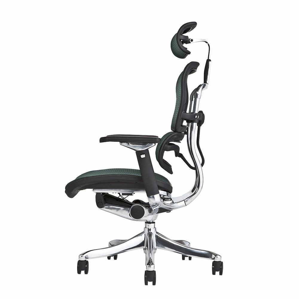 エルゴヒューマン プロ / ヘッドレスト有り【メーカー組み立て完成品