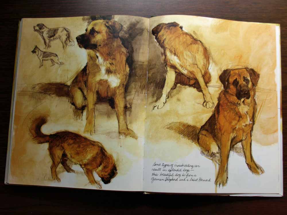 Rien Poortvliet | Erin Bartels