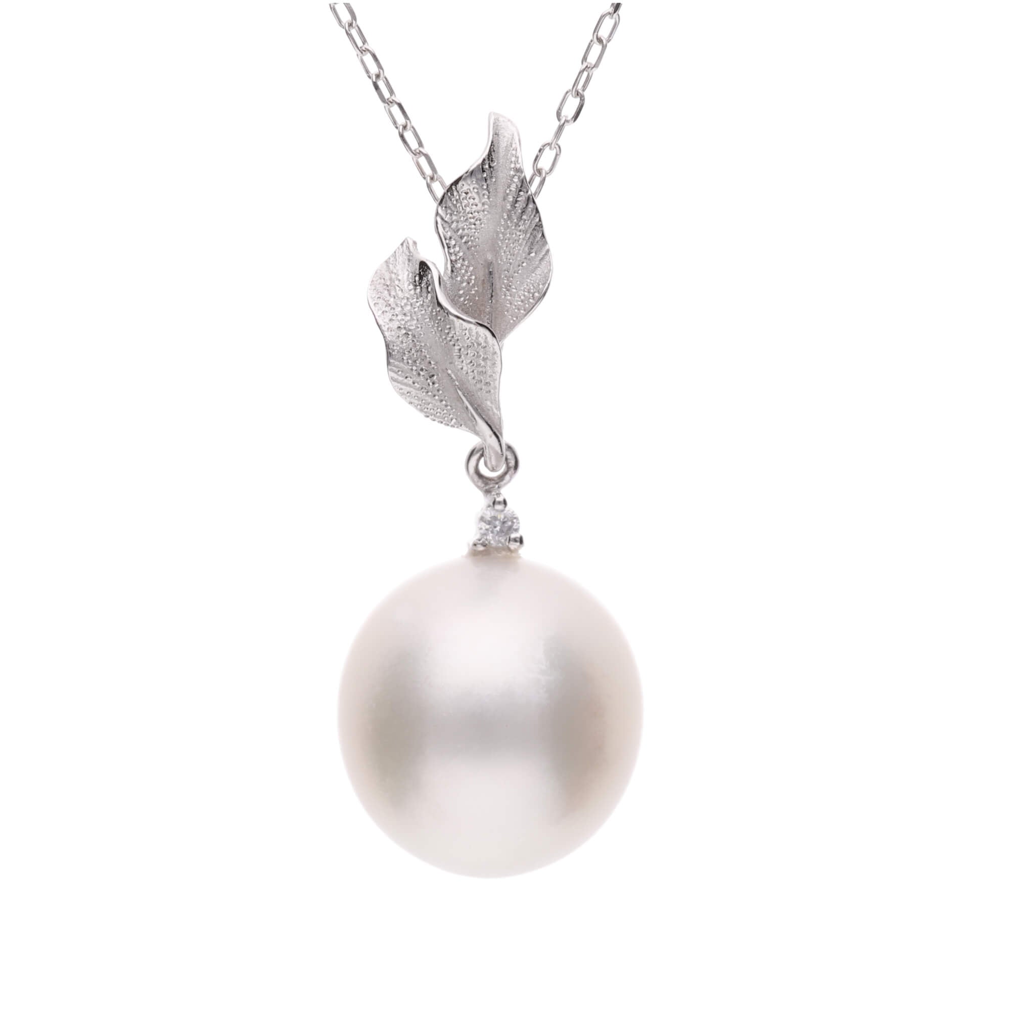 whitepearl-tokiwagi-wg-1.jpg?v