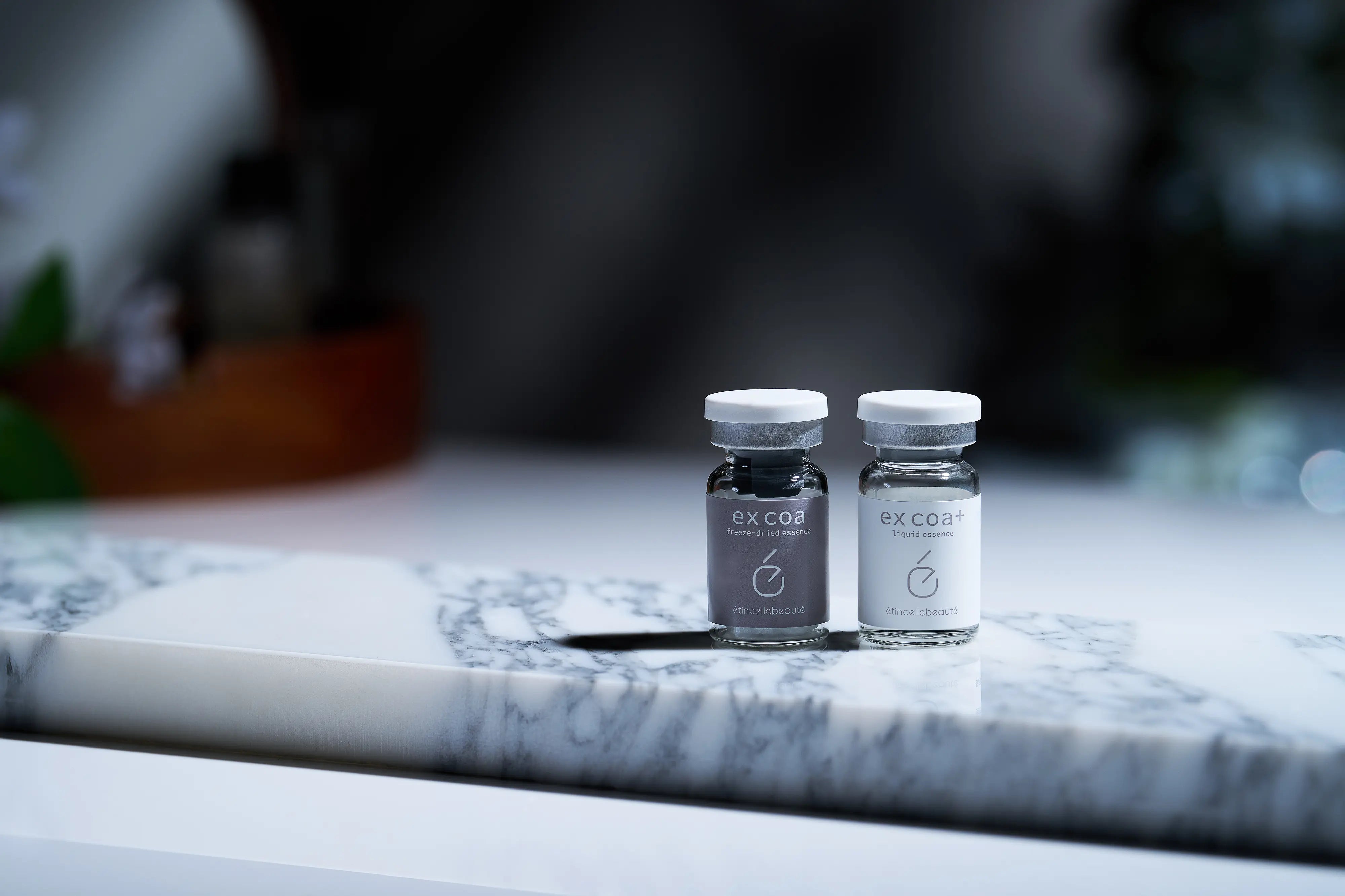 v.condition – エタンセルボーテ