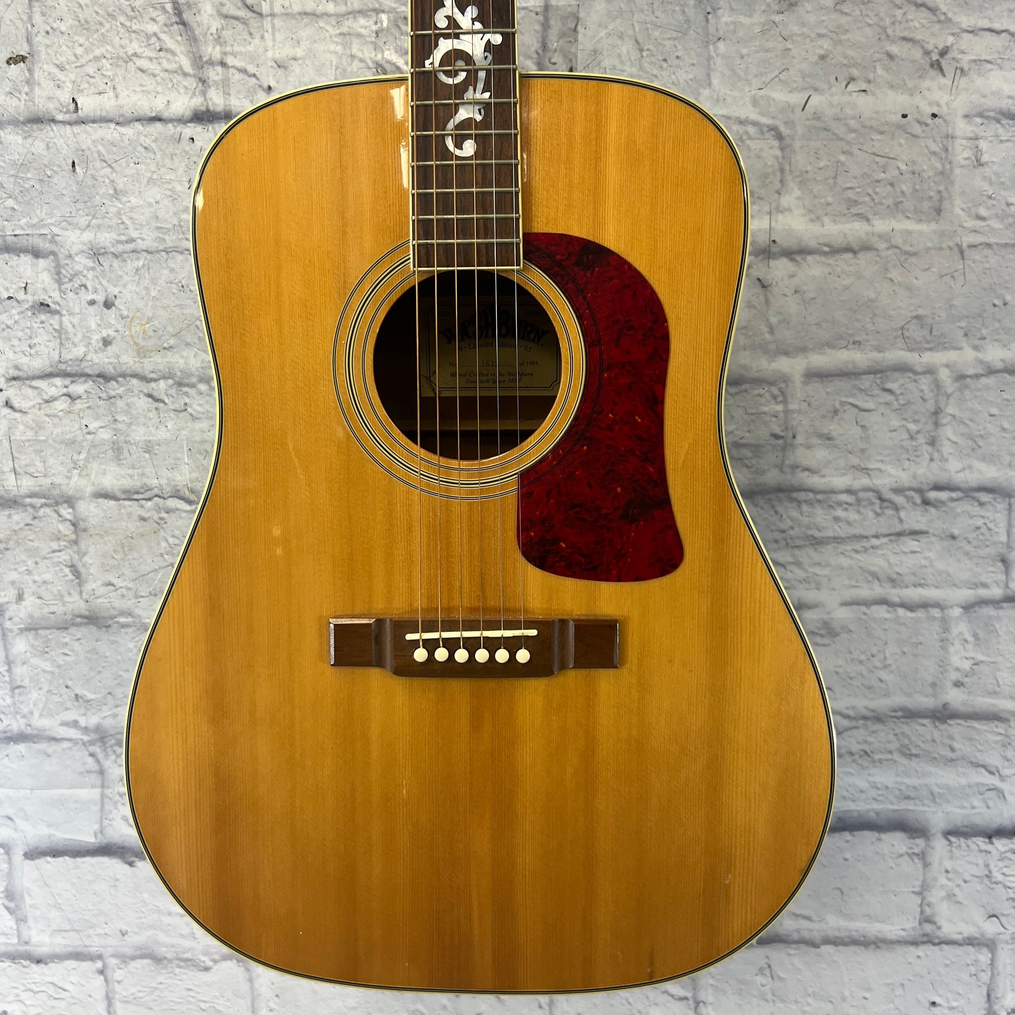 Washburn D95LTD Dreadnaught Acoustic Guitar - Evolution Music