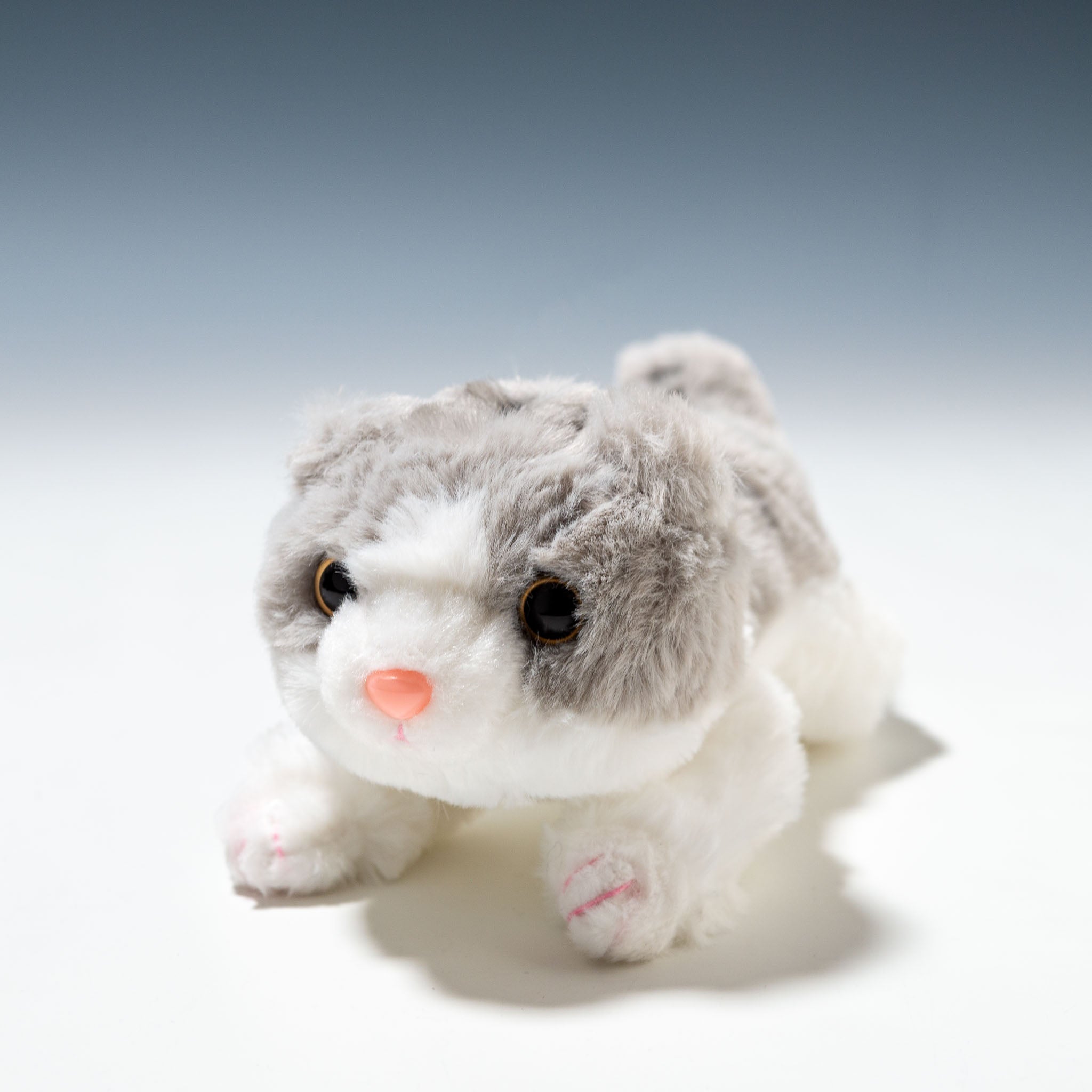 CUTE キュート販売 ぬいぐるみ くたくたニャンコ スコティッシュ