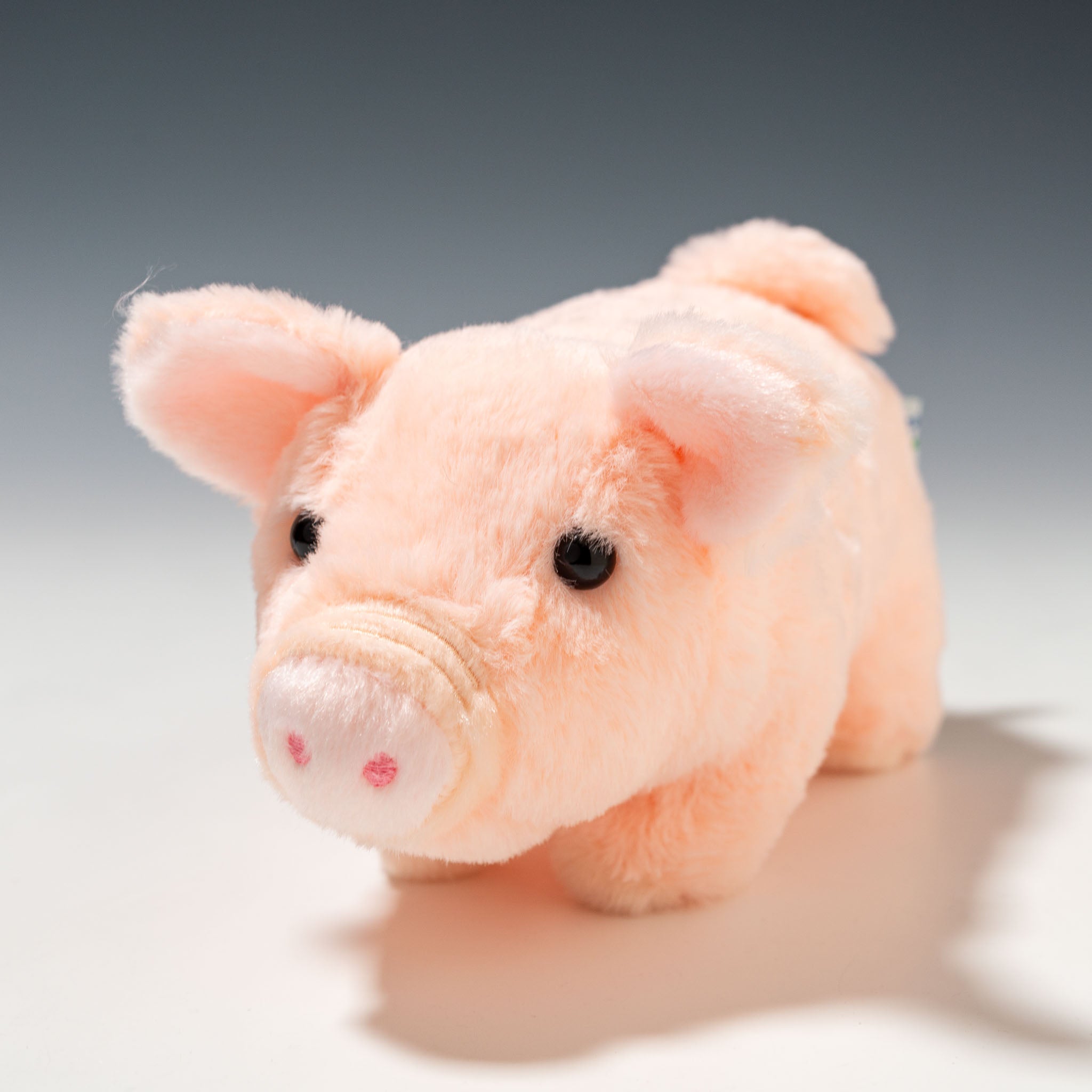 CUTE キュート販売 ぬいぐるみ ファームコレクション ブタ ブーブー