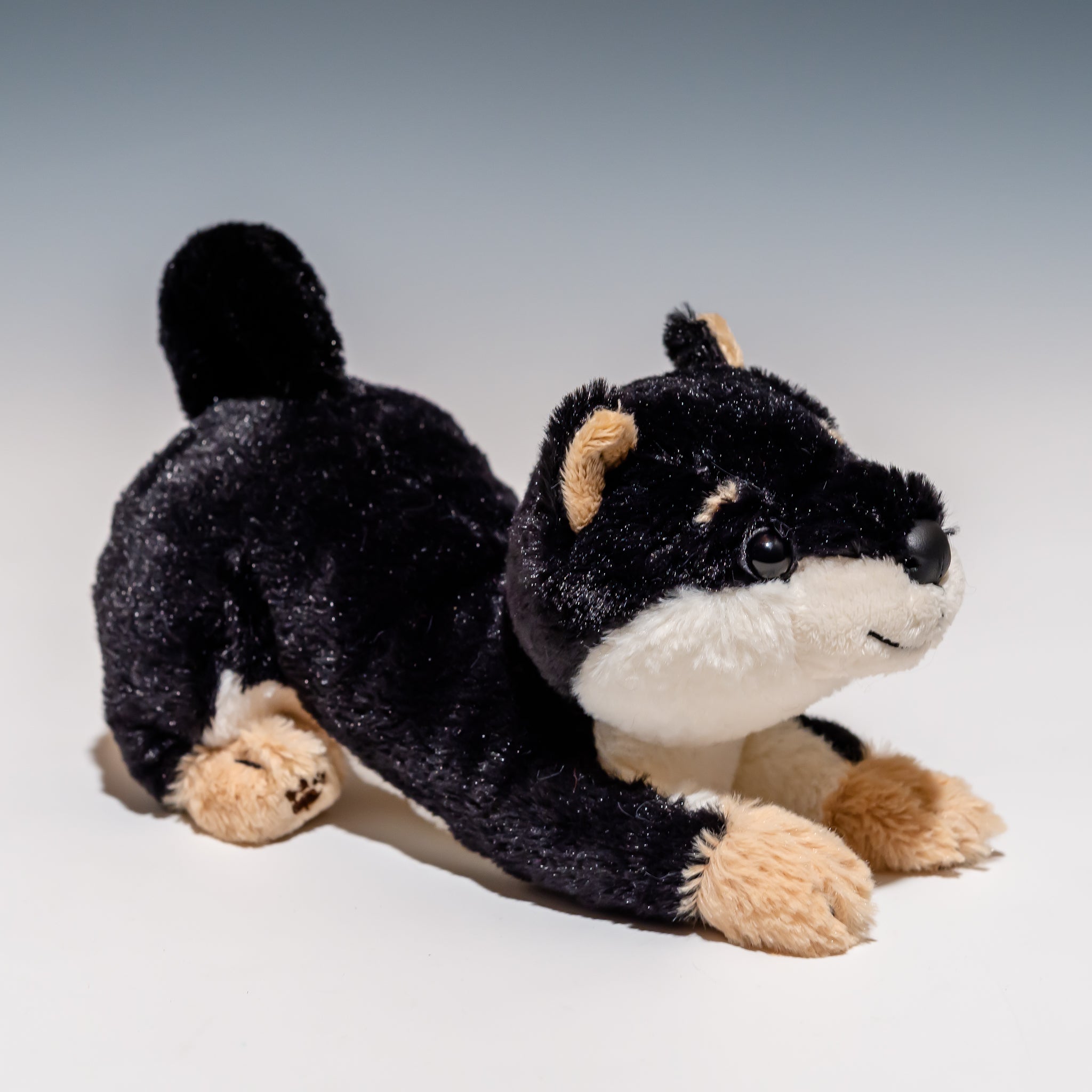 シナダ SHINADA ぬいぐるみ 豆子犬 黒柴 - エステルノ・となりの動物園